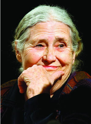 doris lessing