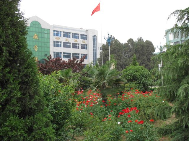 滑县一中分校