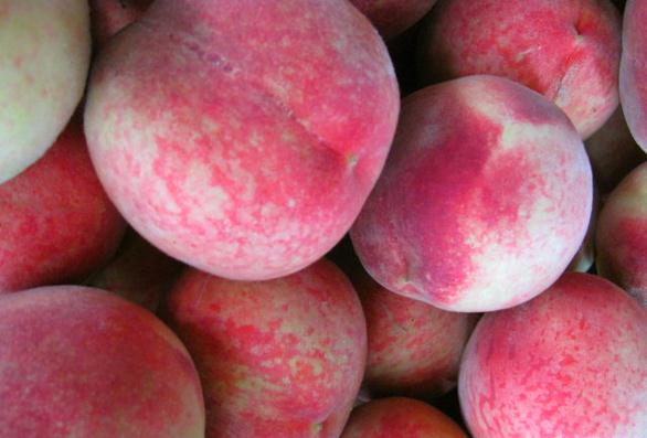  p>安丘蜜桃,山东潍坊市 a href="#" data-lemmaid="2445918">安丘市 