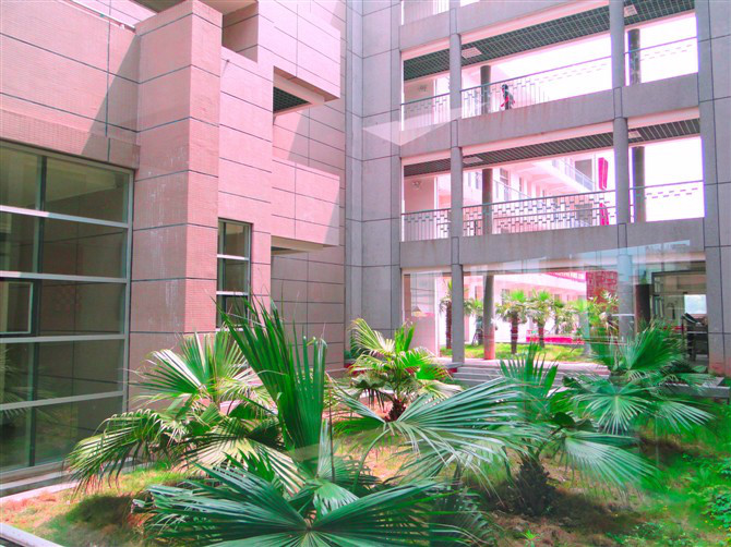长江大学艺术学院
