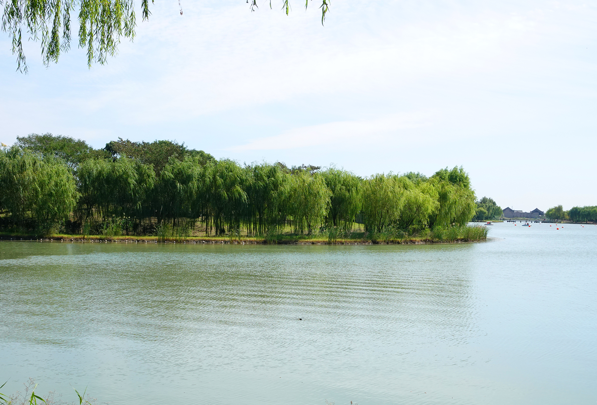 大纵湖景区