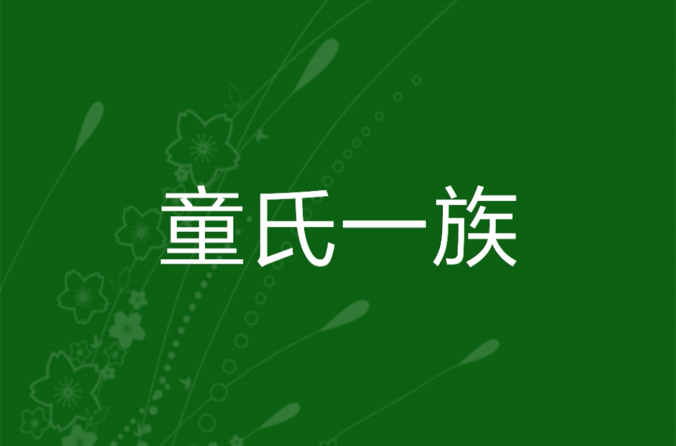  p>《童氏一族》是作者 王的妖后发表在 a targe