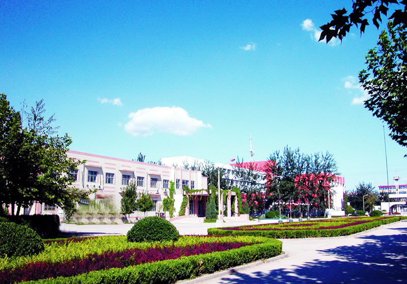  p> a href="#" data-lemmaid="10555522">中国石油管道学院 /a>(河北