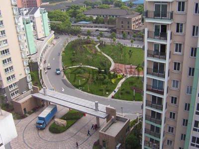  p data-id="gn7g6iyj89">绿野春天翠谷幽兰是杭州闲林板块中一处珍罕