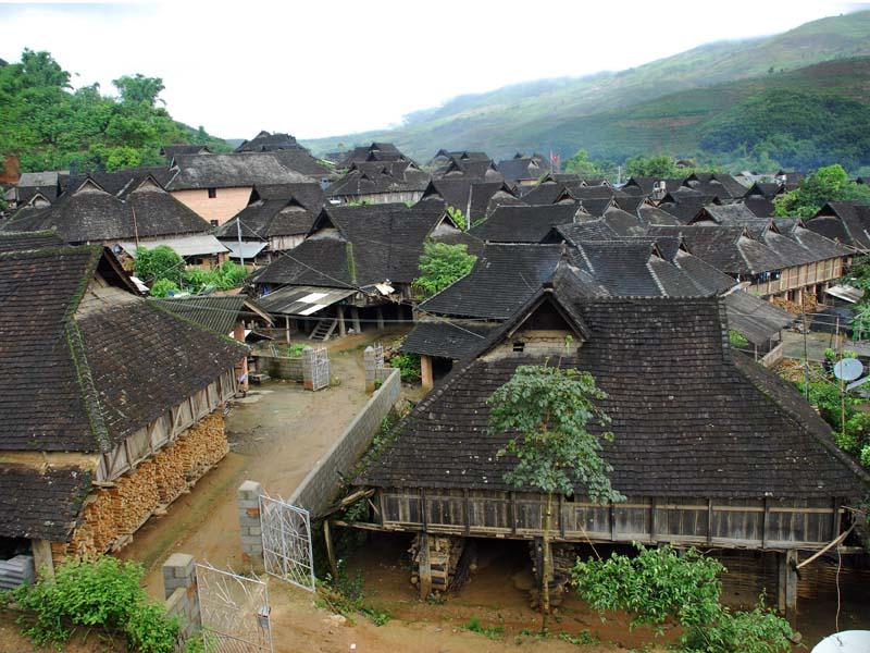  p>新曼伞村隶属于云南省景洪市勐龙镇曼伞村委会