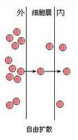  p>自由 a href="#">扩散 /a>(simple diffusion),生物学名词,是物质