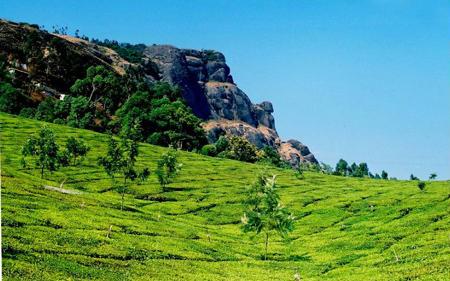  p>德干高原(deccan plateau)位于印度中部和南部,包括 a href="#"