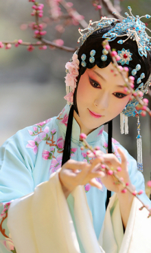 男旦董飞