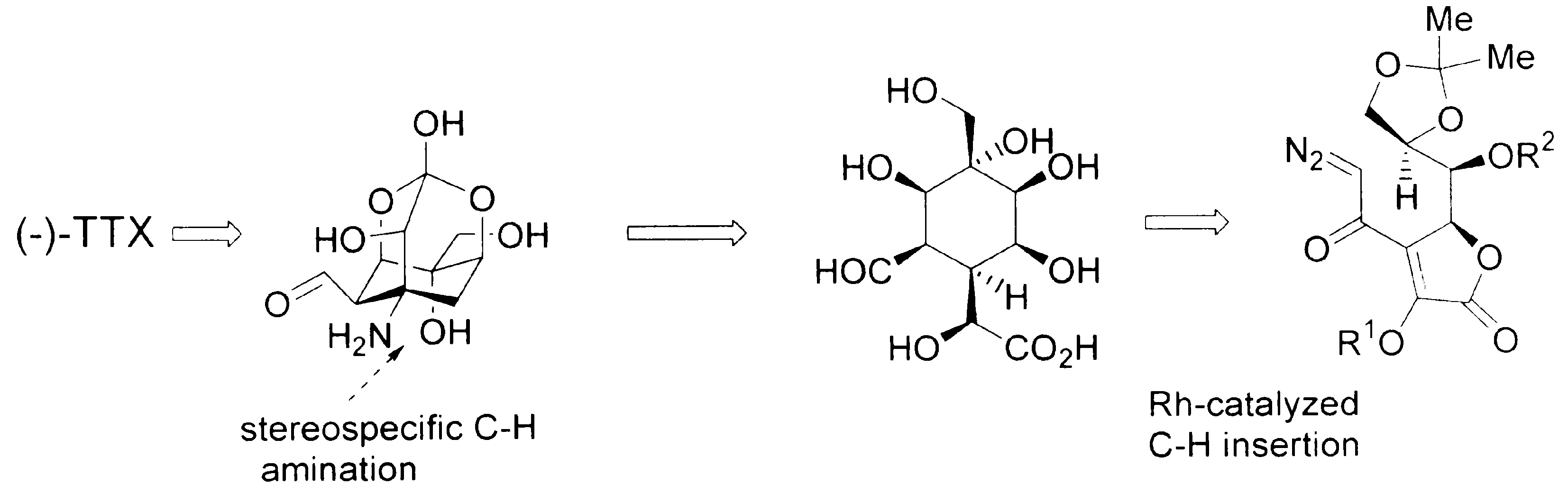  p>河鲀毒素(tetrodotoxin,ttx),分子式为c sub>11 /sub>h sub>17 