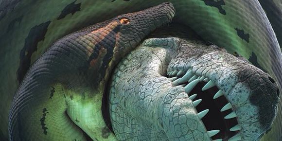 是种已灭绝<a target="