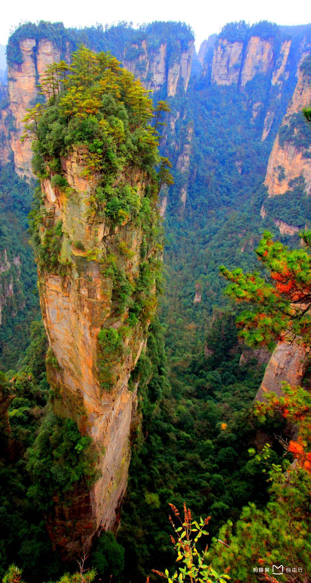 武陵源(张家界)风景名胜区