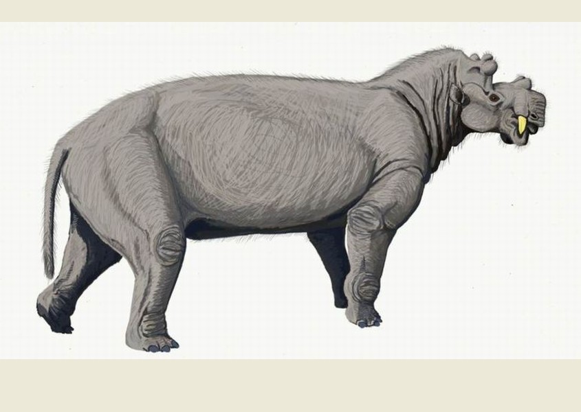  p>尤因它兽即恐角兽,尤因它兽是已知 a data-lemmaid="549102">恐龙