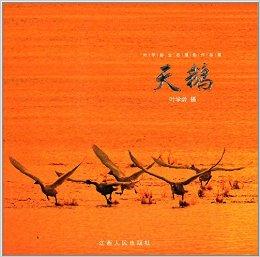 天鹅:叶学龄生态摄影作品集