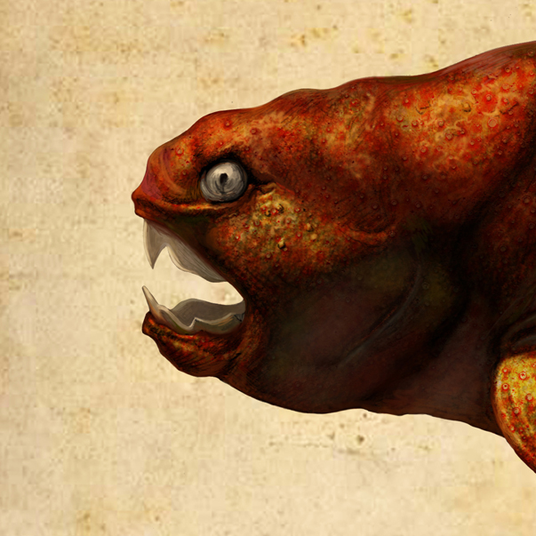  p>邓氏鱼(dunkleosteus terrelli),是一种活于泥盆纪时代(距今约3.