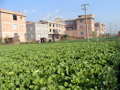  p data-id="gn6r34ibgq">王棋村委会是云南省玉溪市红塔区北城镇的一