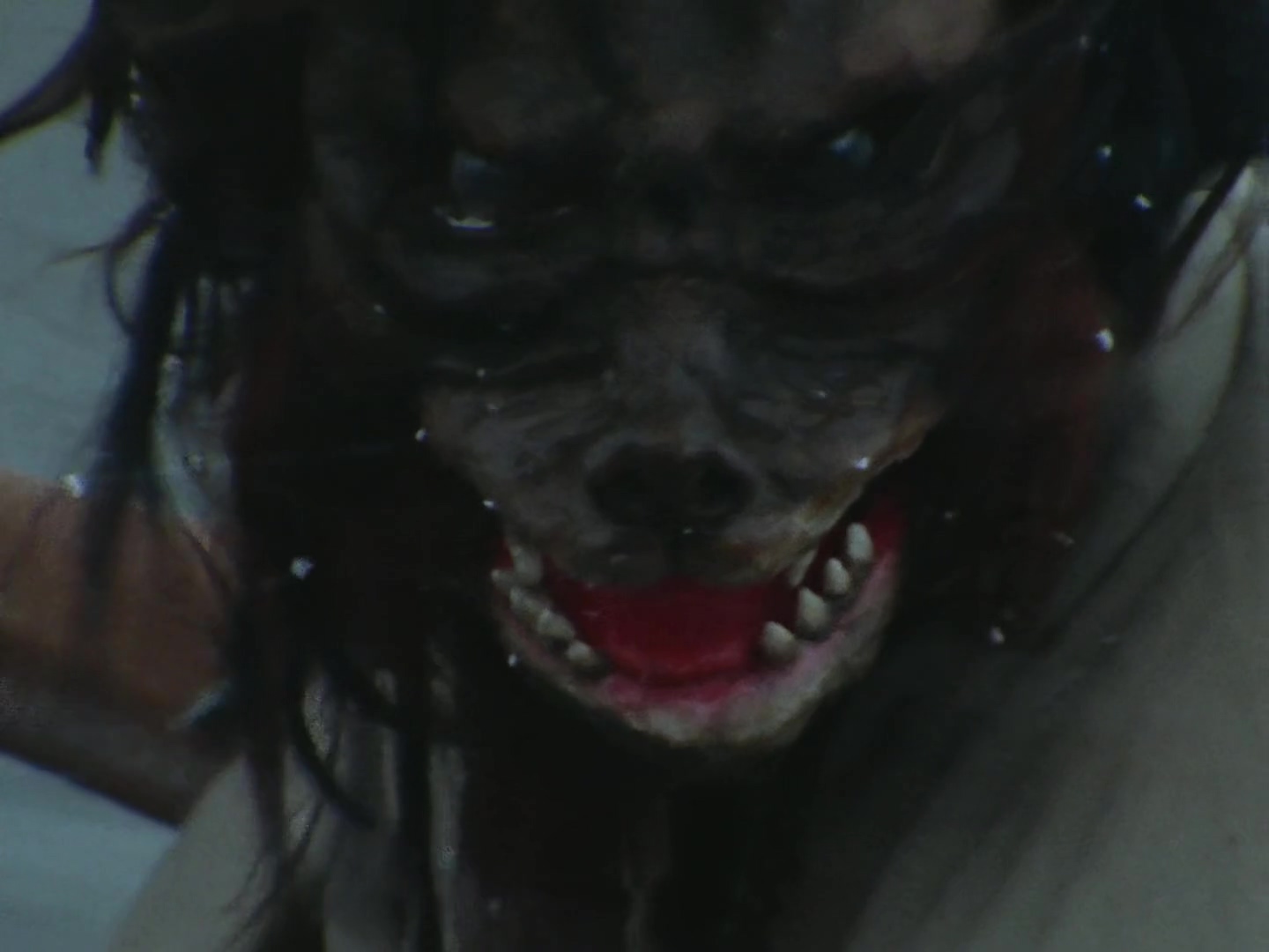 异次元人亚布鲁