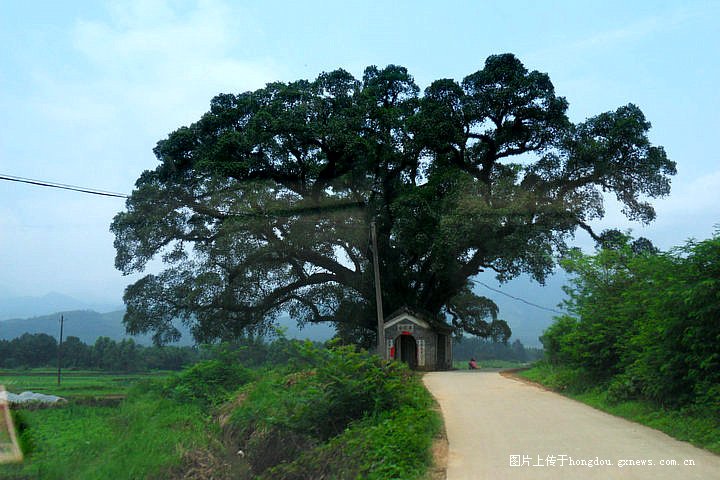  p>桂岭镇位于贺州市八步区东北部,总面积414.