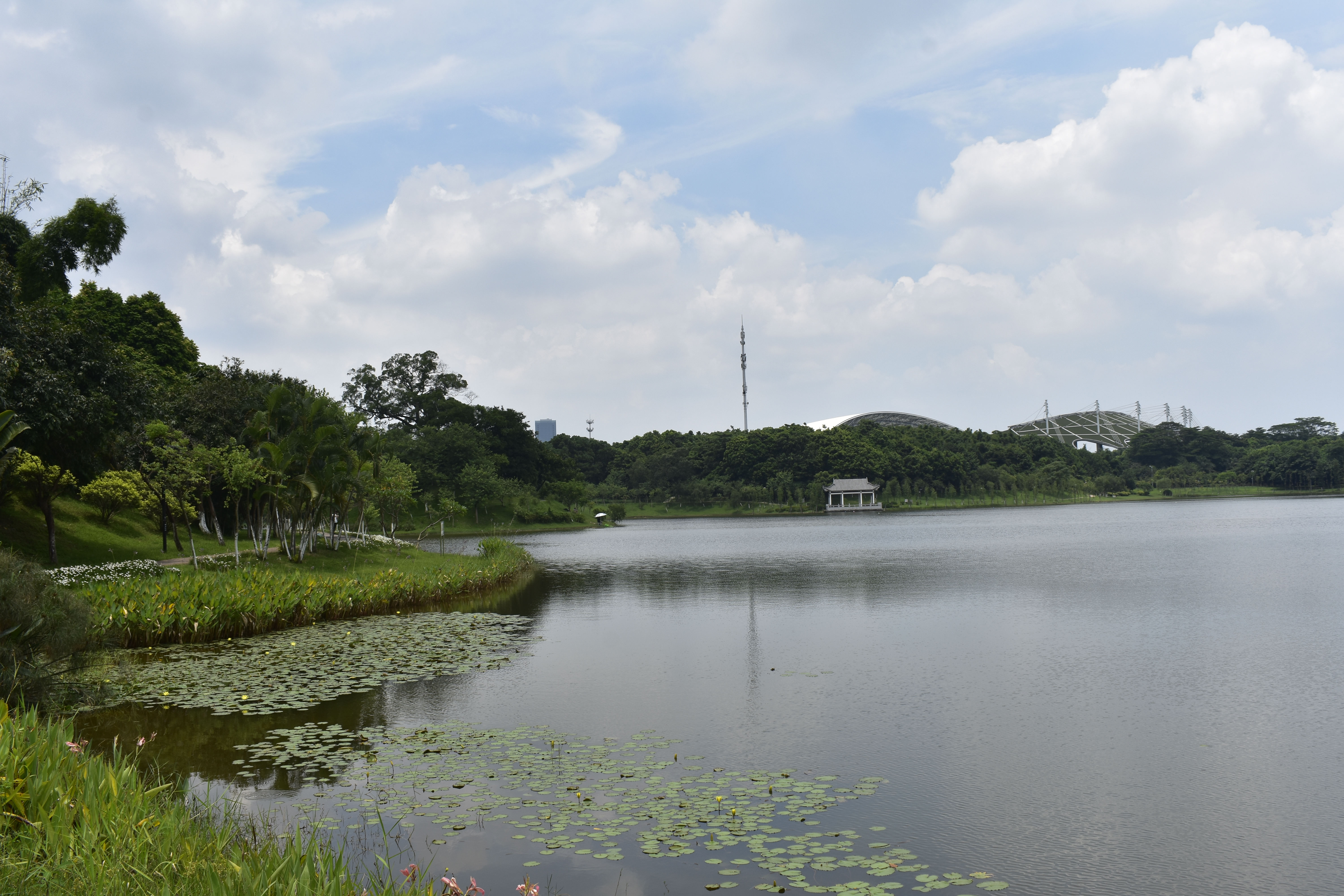  p>广州大学城,位于广东省广州市番禺区小谷围街道,城区分布在珠江