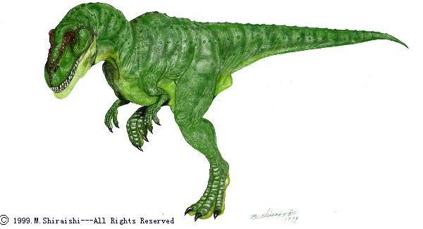  p>蛇发女怪龙(学名gorgosaurus),又名 a target="_blank" href="