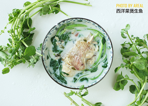 西洋菜煲生鱼汤