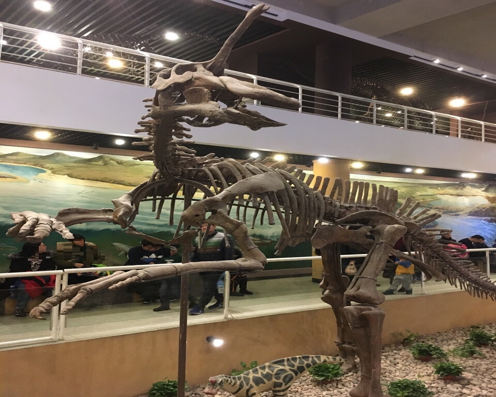 中国科学院古脊椎动物与古人类研究所中国古动物馆