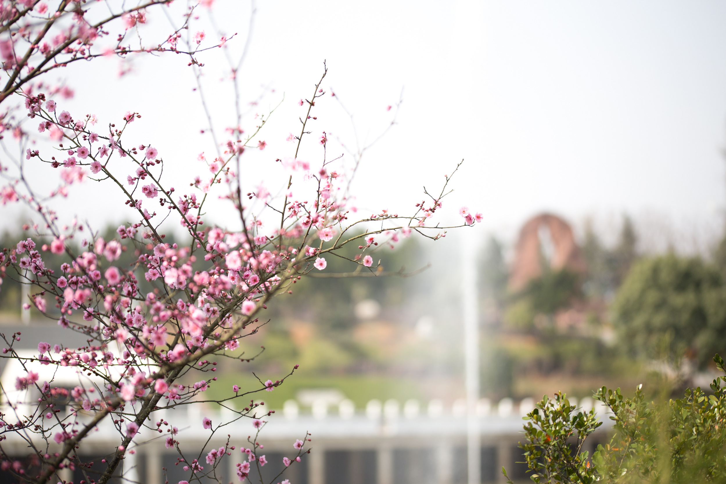  p data-id="gnaxtev5ht">武汉八叠山生命公园位于 a target="_blank"