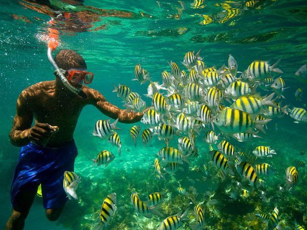  p>浮潜,不仅是 a href="#" data-lemmaid="77418">漂浮 /a>在水面的