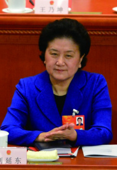 刘延东（第十八届中央政治局委员，国务院原副总理、党组成员）_百度百科