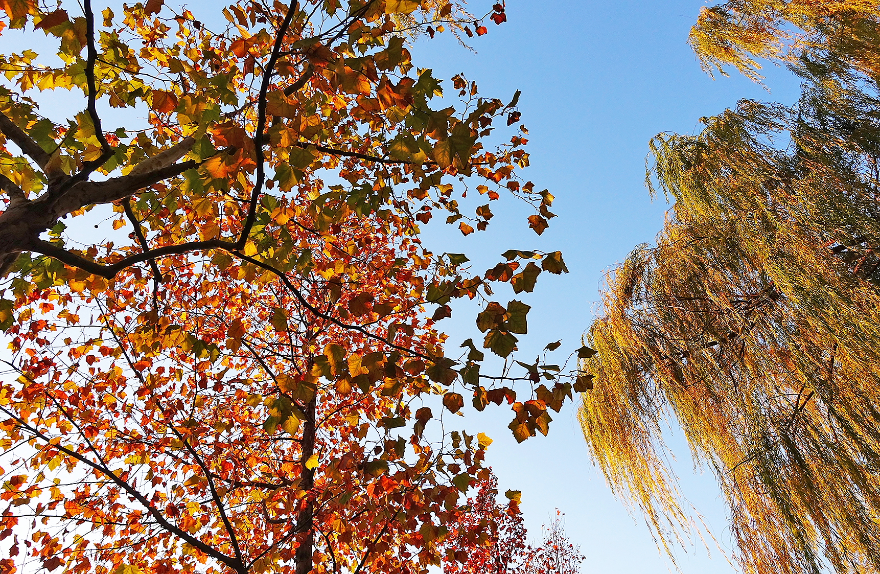  p>日月岛是大庆连环湖度假区西部一个面积约1平方公里的湖中小岛