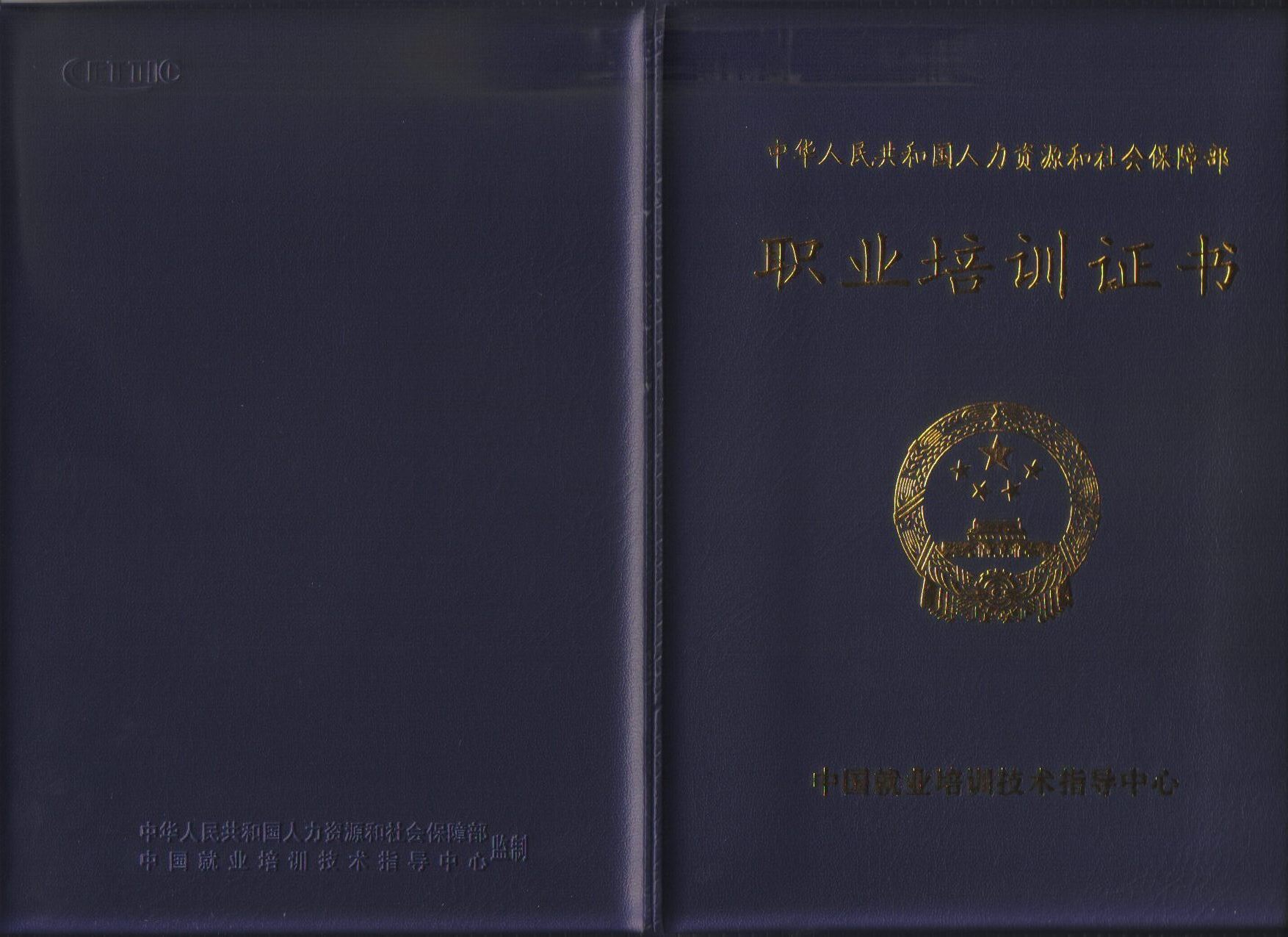  p data-id="gnbpo3x03e">国际职业培训证书,作为汉语教师全球通行证