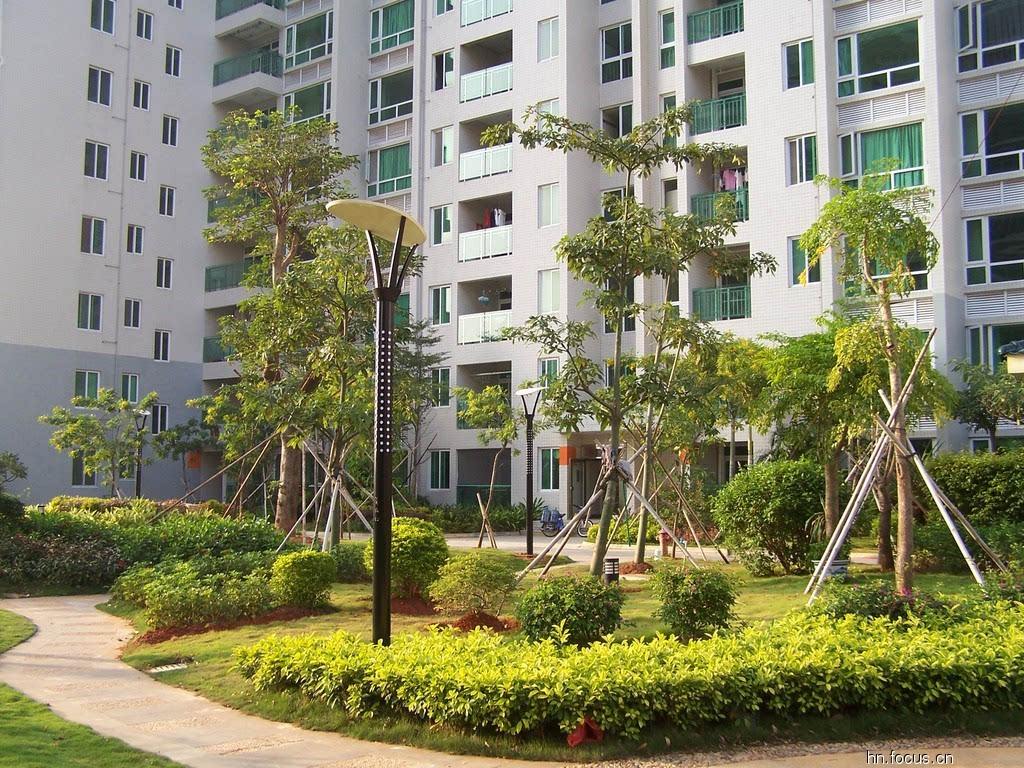  p data-id="gnhhsitp62">海口市海甸岛西部美丽沙开发区首家大规模