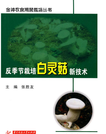 反季节栽培白灵菇新技术