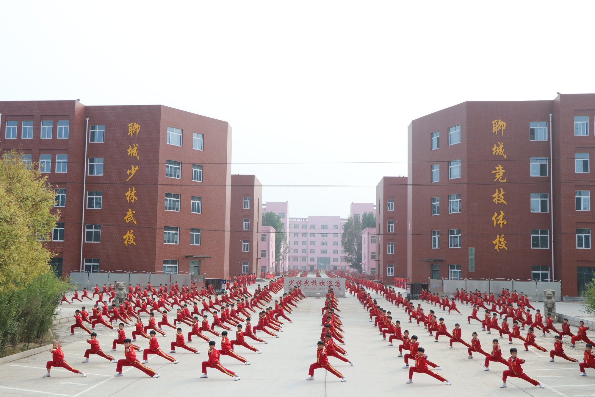 市少林武术学校 /a>,简称:少林武校或聊城少林武校)是一所文武双修,全