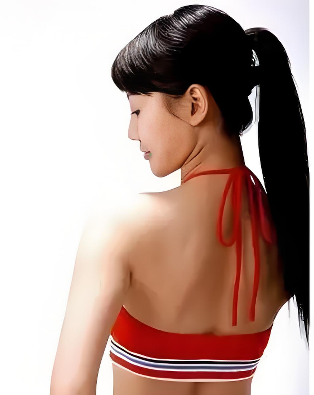 《动物演化之谜》是由石琼璘主持的历史类