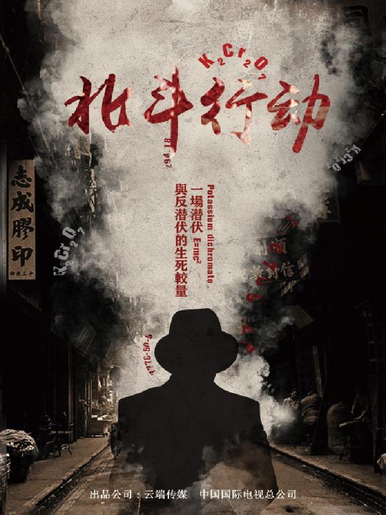 北斗行动