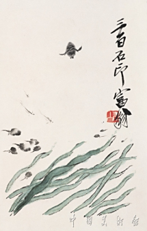水草蝌蚪