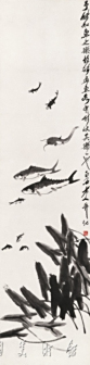 鱼乐图
