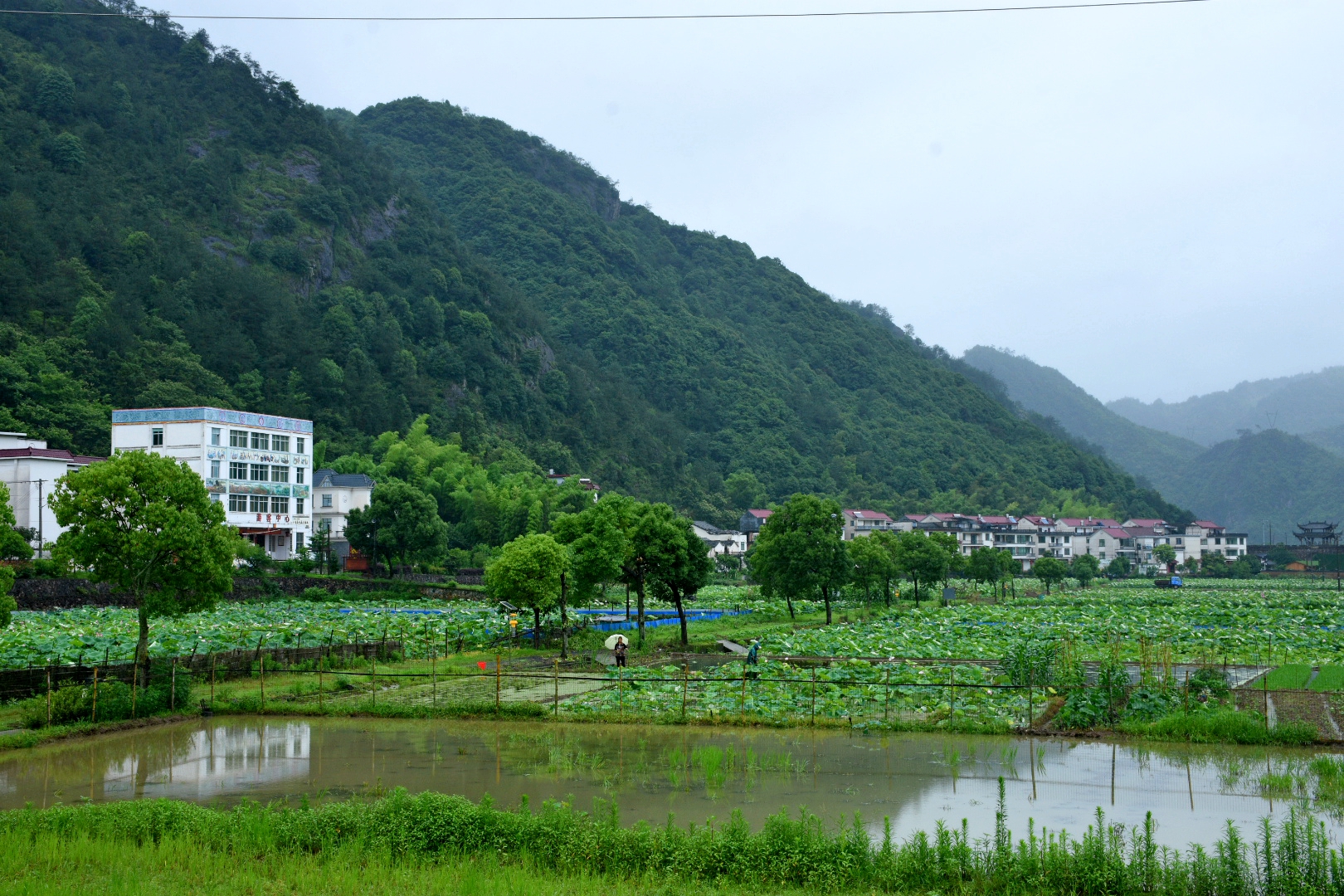  p>柳城畲族镇,隶属于浙江省金华市武义县,地处 a target="_blank"