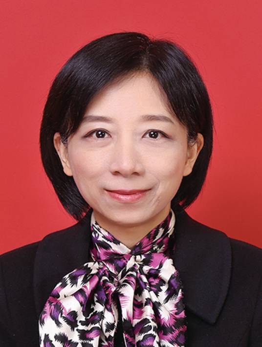 徐枫（上海市第十六届人民代表大会教育科学文化卫生委员会委员）_百度百科