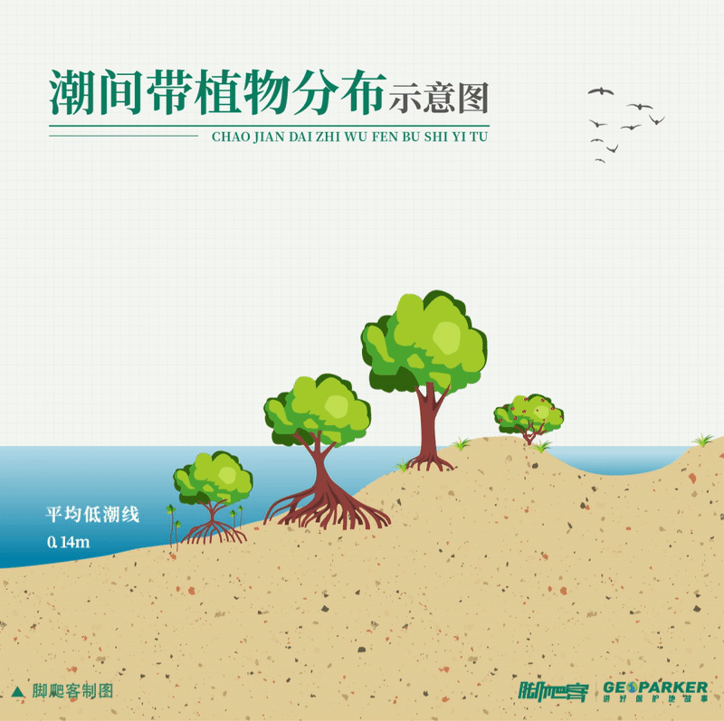 伶仃洋的湾区双璧，聆听海岛的故事_百科TA说