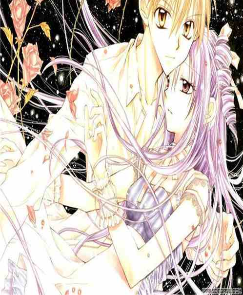 冰山王子爱上雪山公主