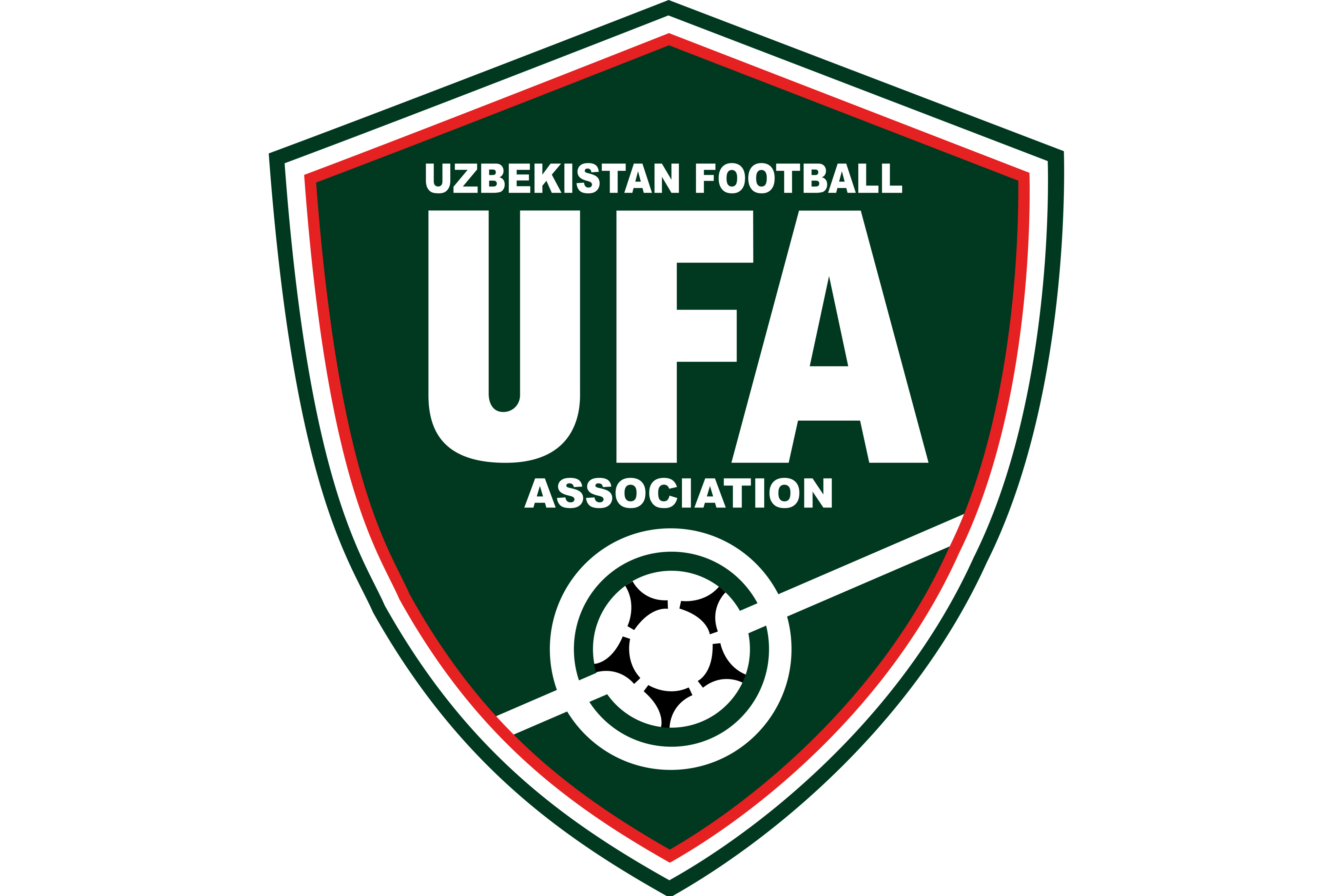 乌兹别克斯坦国家男子足球队