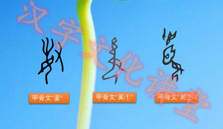 “女”字探秘：从女神到女奴再到女人_百科TA说