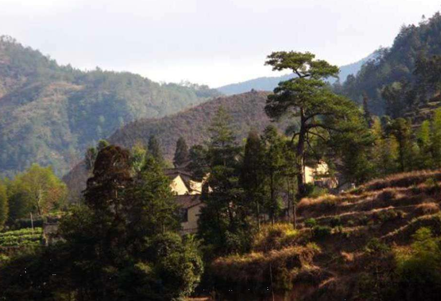  p data-id="gnb5zh7a81">平溪镇,隶属于福建省宁德市寿宁县,地处 a