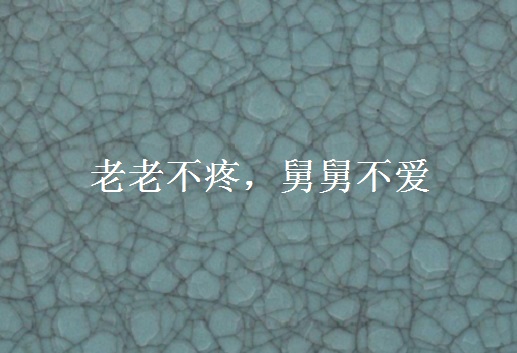 老老不疼,舅舅不爱