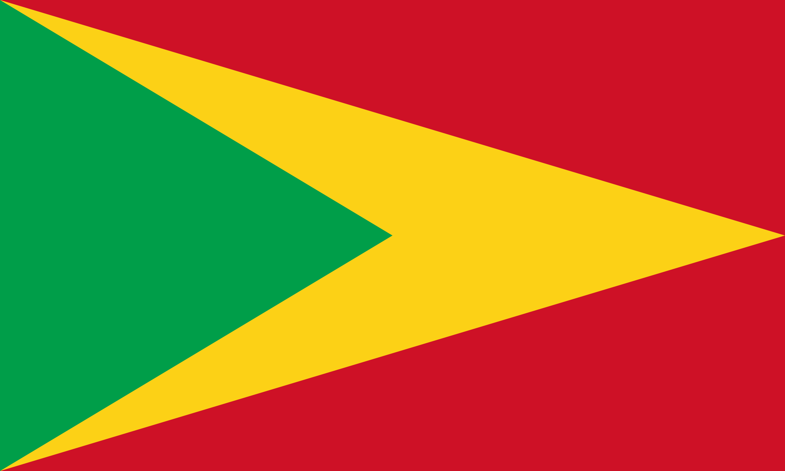 圭亚那合作共和国国旗