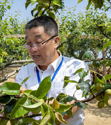 中共党员,广西壮族自治区桂林市全州县东山瑶族乡白竹村驻村第一书记