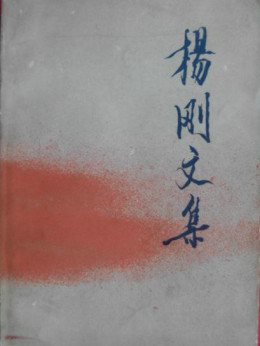 杨刚（著名记者）_百度百科