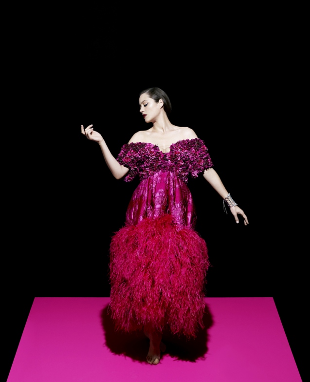 玛丽昂·歌迪亚