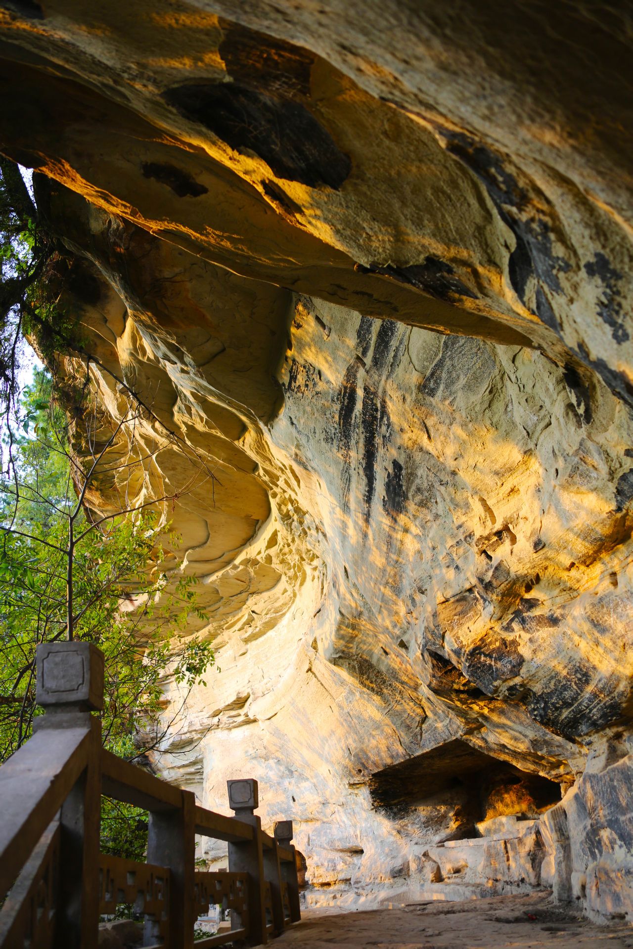 金城山森林公园